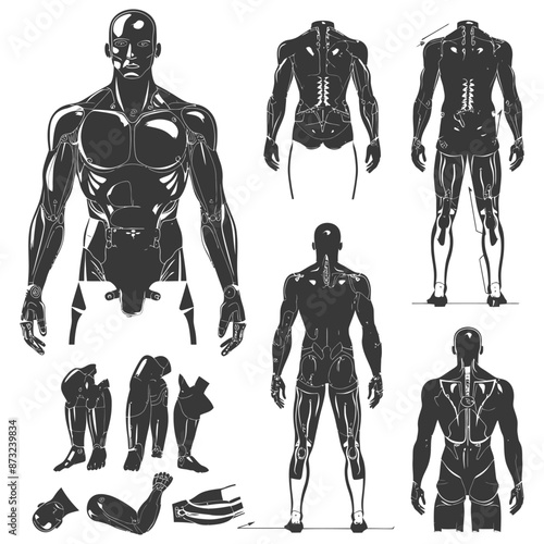 Monochrome Detailed Outline of a Muscular Cyborg with Separate Body Parts