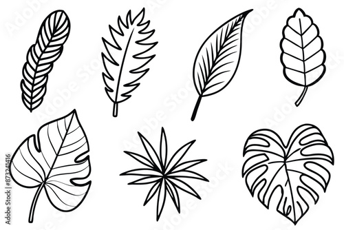 Tropical Leaves Line Art Refined Leaf Sketch