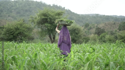 woman in a field of flowers