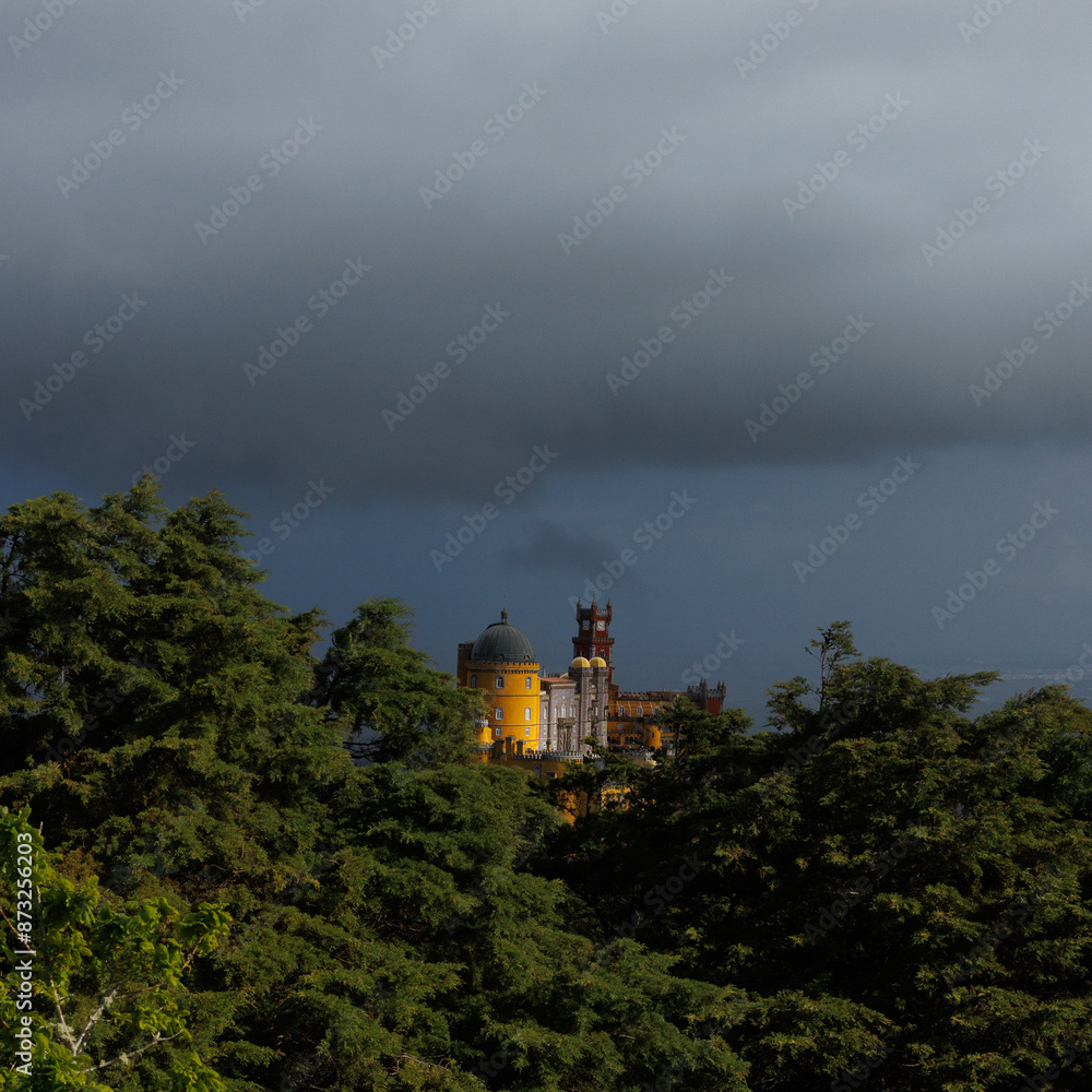 Naklejka premium Pena Palace view