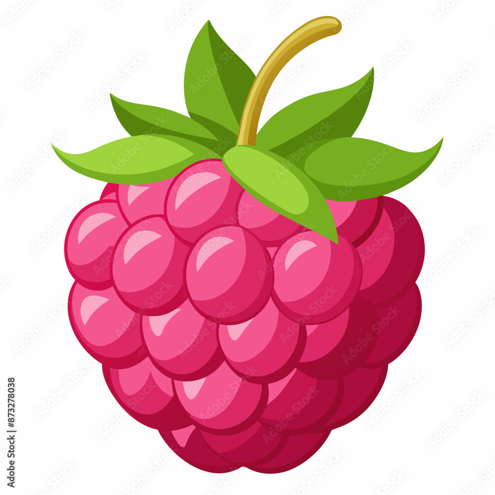flat illustration of raspberry with leaves flat illustration of raspberry with leaves