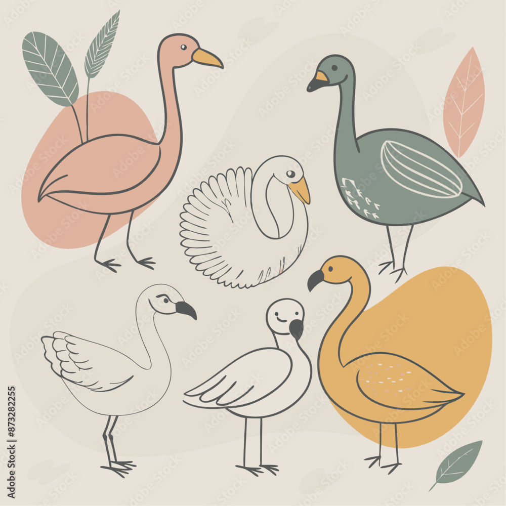 Obraz premium various cartoon birds collection vector