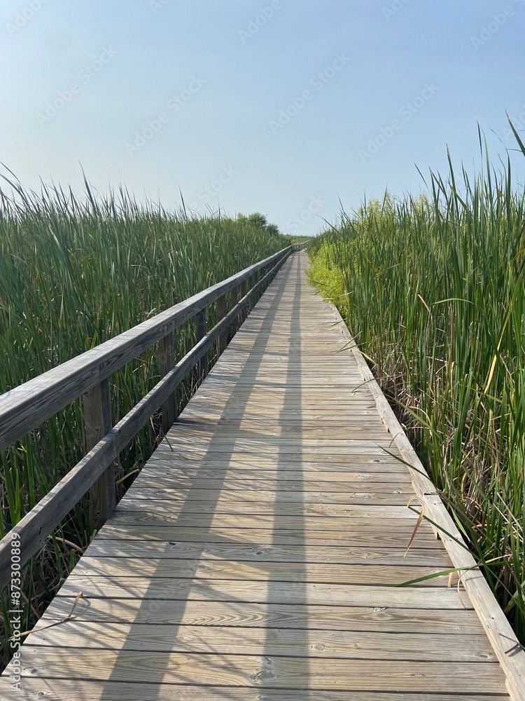 Fototapeta premium Boardwalk to ocean