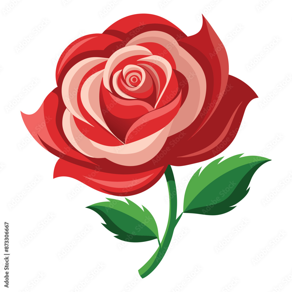 Illustration of red rose isolated on white Illustration of red rose isolated on white