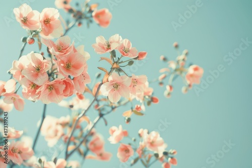 A close-up of a delicate bush of pink blossoms against a light blue backdrop
