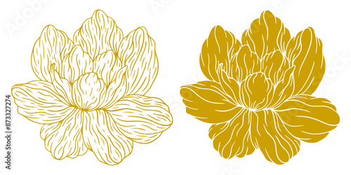 Sketch Floral Botany Collection. Magnolia flower drawings. Gold line art. Hand Drawn Botanical Illustrations outline. gold Vintage flower vector drawing. wedding invitation, card, frame, romantic.  