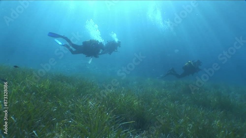 Wallpaper Mural sea grass vegetation  underwater with sun shine beams and rays ocean nature scenery wildlife mediterranean sea scuba divers to see Torontodigital.ca