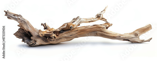 driftwood log isolated on white © si9nzation