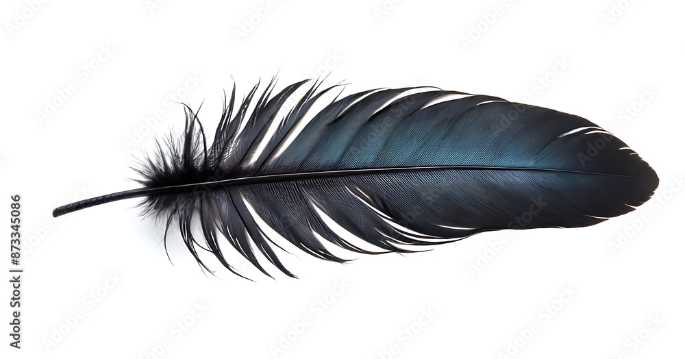 Single, black feather with subtle blue iridescent sheen, evoking themes of nature, fragility, and freedom. Perfect for artistic compositions or adding a touch of elegance. Single, black feather with subtle blue iridescent sheen, evoking themes of nature, fragility, and freedom. Perfect for artistic compositions or adding a touch of elegance.