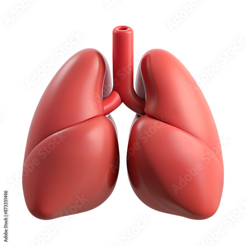 Fototapeta Naklejka Na Ścianę i Meble -  Human internal lungs organ structure 3d icon on the transparent background