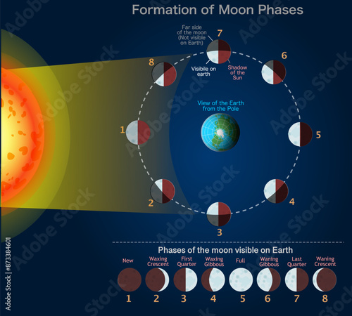 Moon phases, lunar stages formation. New, first, last quarter, full, waxing gibbous, secondary, crescent waning crescent. View earth from pole. Moves visible from earth. Dark vector illustration	