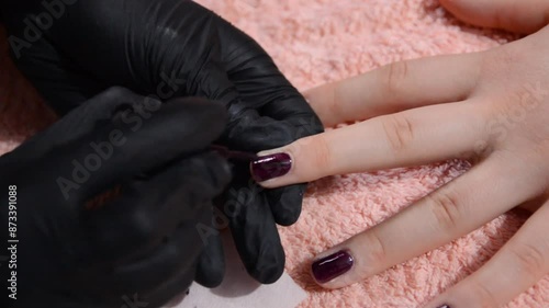 Beautician painting nails of a young woman with cyclamen color in a beauty salon, concept of manicure.