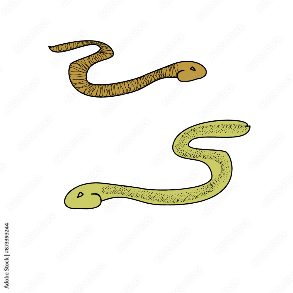 Naklejka premium two snakes, 
