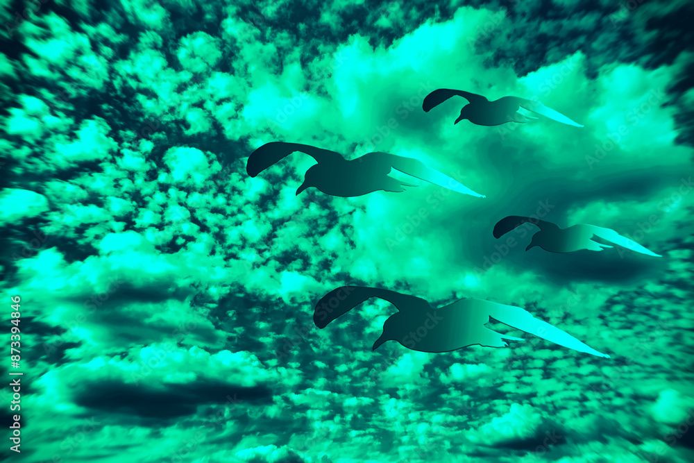 Fototapeta premium Möwen