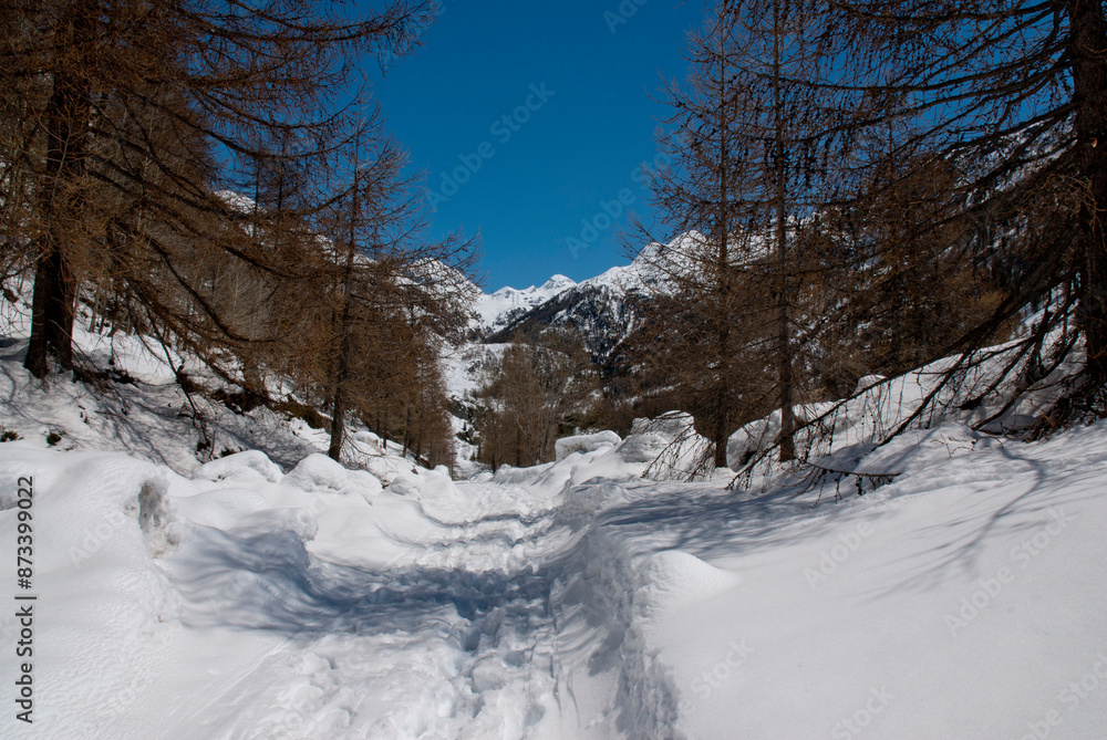 Obraz premium Cogne - Valle d'Aosta