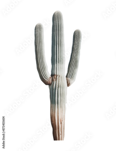 Halftone Colored Cactus. Contemporary collage cut out element in a retro surreal style. Vector illustration isolated on transparent background with dotted texture.