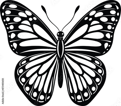 Butterfly silhouette vector illustration art