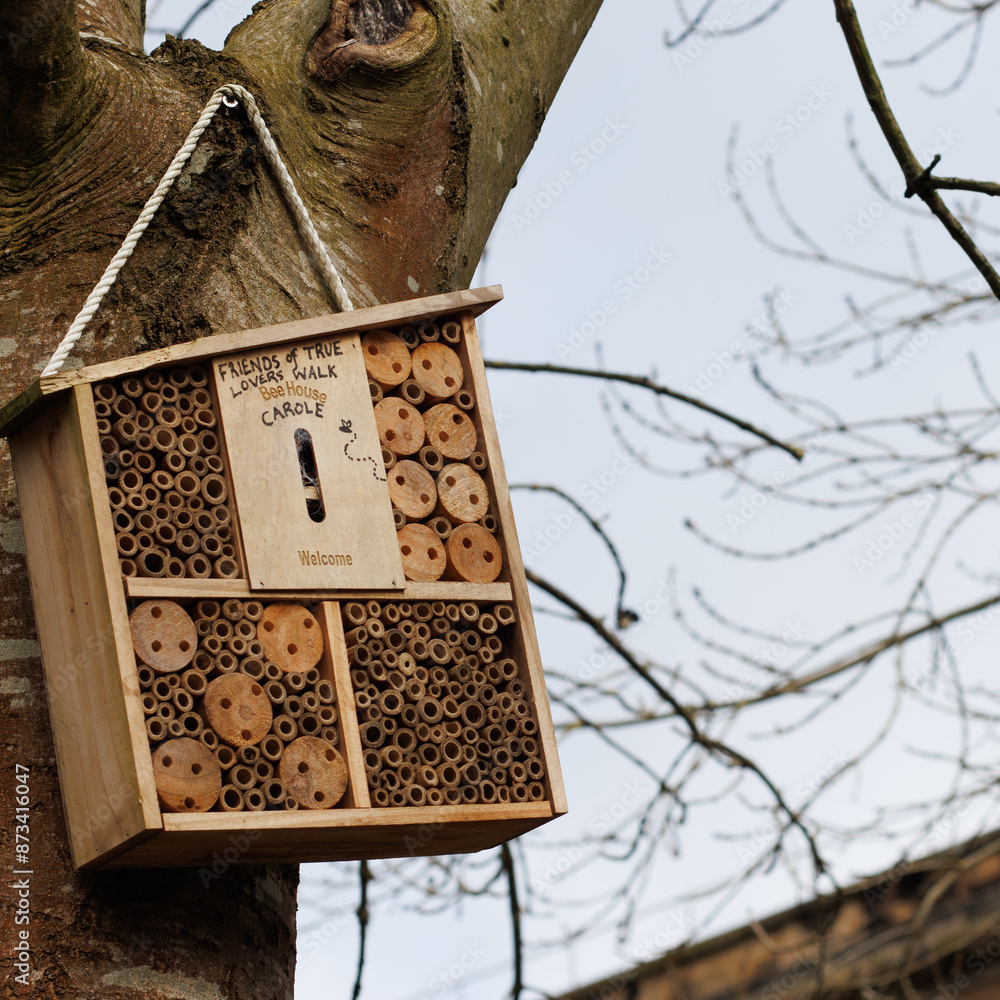 A bug house hanging from a tree.