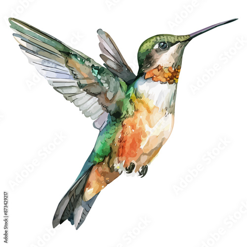 Watercolor of a Hummingbird, isolated on a white background, Hummingbird vector, drawing clipart, Illustration Vector, Graphic Painting, design art, logo photo