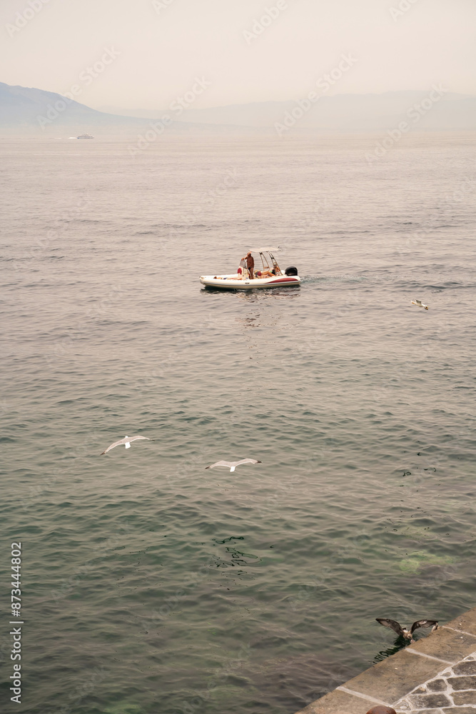 Sorrento, Italy - July 24, 2024: Bird flying on a sorrento coast during mist with a motor boat against mount vesuvius