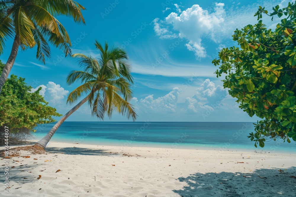 A beautiful beach with palm trees and a clear blue sky. The beach is empty and the water is calm A beautiful beach with palm trees and a clear blue sky. The beach is empty and the water is calm
