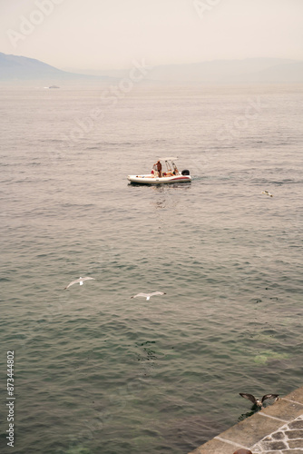 Obraz na płótnie Sorrento, Italy - July 24, 2024: Bird flying on a sorrento coast during mist with a motor boat against mount vesuvius w salonie