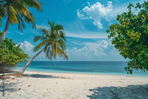 A beautiful beach with palm trees and a clear blue sky. The beach is empty and the water is calm