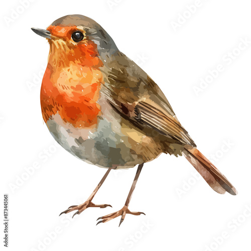 Watercolor drawing clipart of a Robin bird, isolated on a white background, Illustration painting, Robin vector, drawing, design art, clipart image, Graphic logo