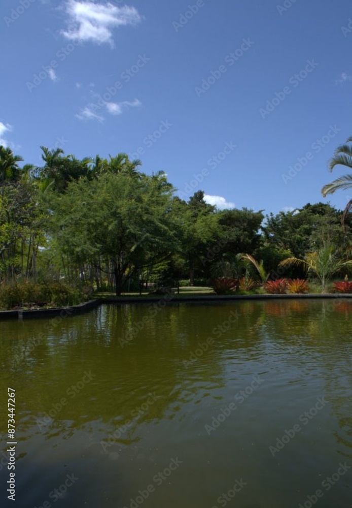 La caracteristica mas resaltante de Miami Beach,es que para donde quieras que mires vas a encontrar el verde de la vegetacion,y el agua en todas sus formas! La caracteristica mas resaltante de Miami Beach,es que para donde quieras que mires vas a encontrar el verde de la vegetacion,y el agua en todas sus formas!