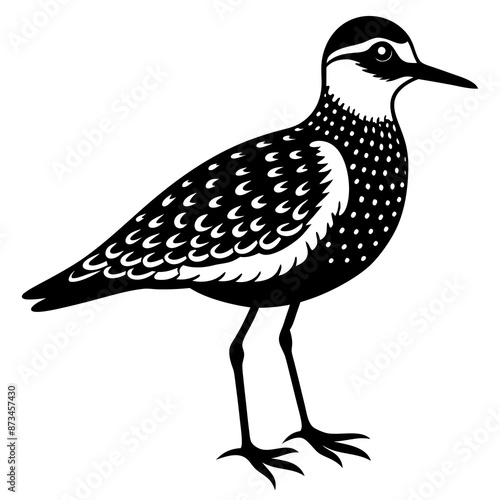 Bird Vector Illustration