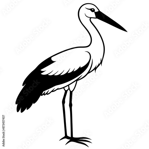 Abdim’s Stork vector illustration





