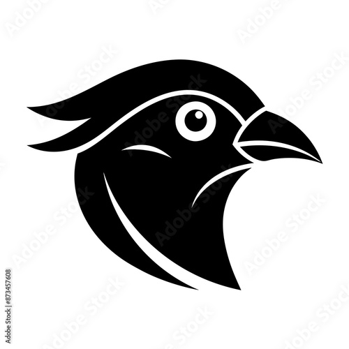 Bird Vector Illustration