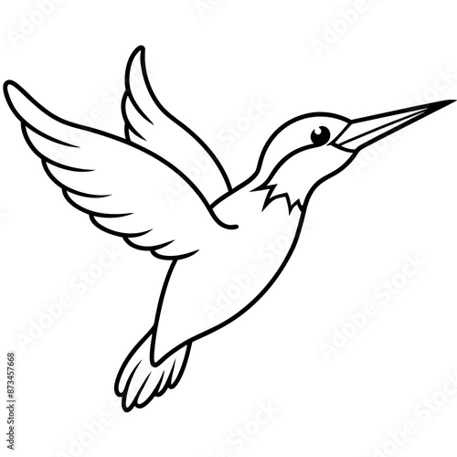 Bird Vector Illustration