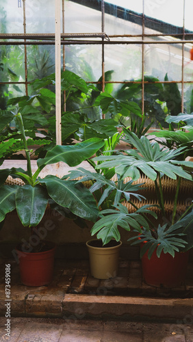 botanical garden greenhouse