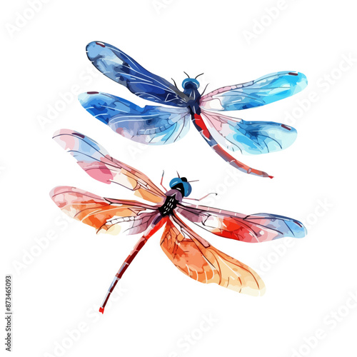 Watercolor painting of a dragonfly, isolated on a white background, dragonfly vector, drawing clipart, Illustration Vector, Graphic Painting, design art, logo