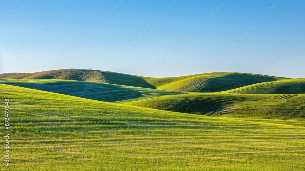 Obraz premium Rolling Green Hills Under a Clear Blue Sky