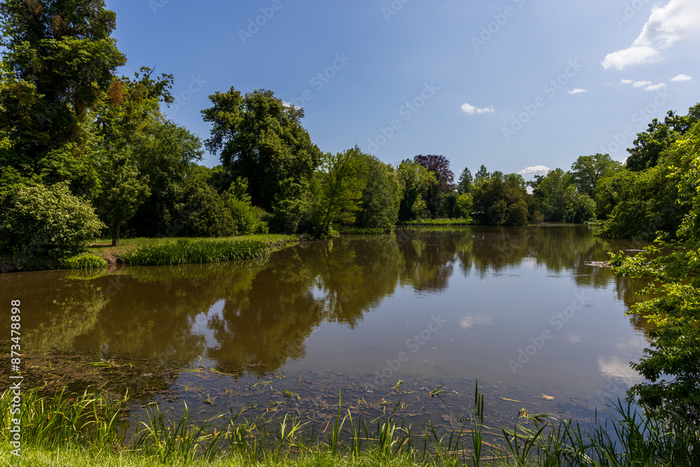 Obraz premium Pond with green water. There is tall grass and trees around the pond.