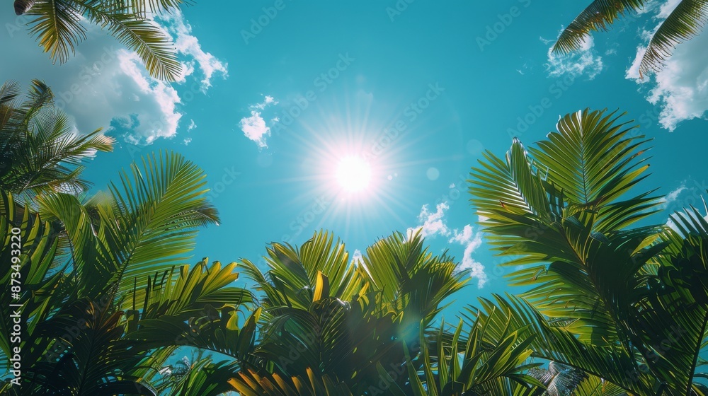 Blue sky and white clouds, palm leaves, sunshine, tropical landscape background, green color tone, wide angle lens, natural light, high contrast, fresh colors, green coconut trees below the blue sky Blue sky and white clouds, palm leaves, sunshine, tropical landscape background, green color tone, wide angle lens, natural light, high contrast, fresh colors, green coconut trees below the blue sky