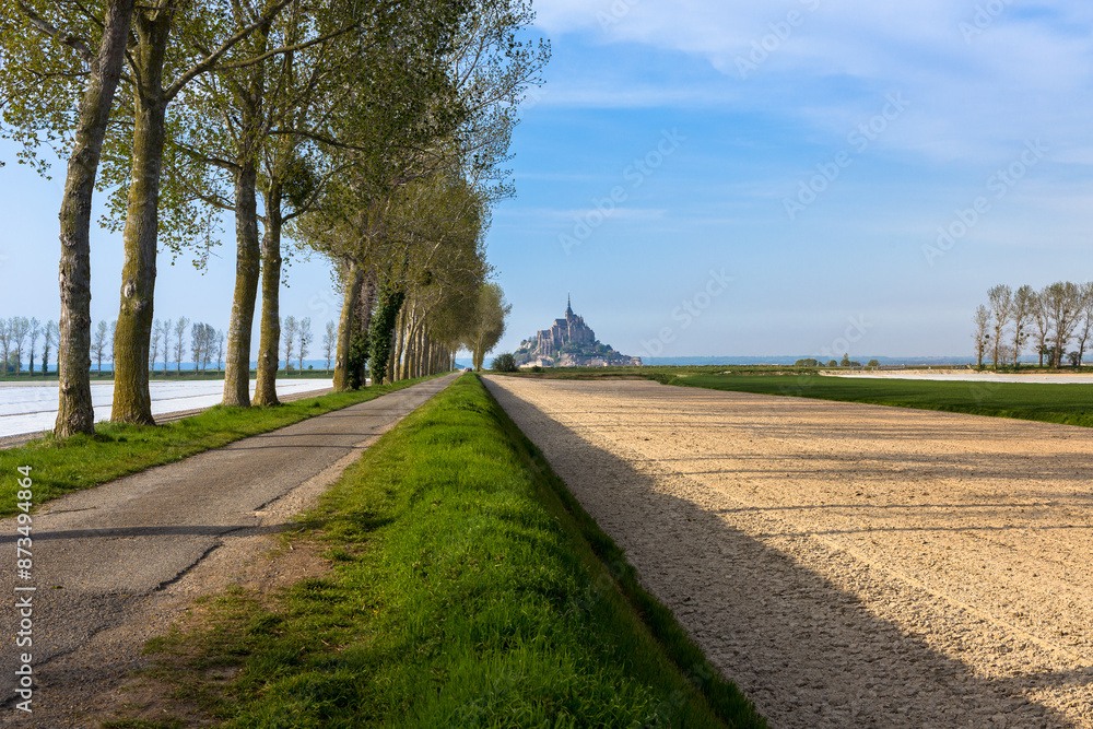 Foto di Mont-Saint-Michel ripreso dall'entroterra, filare di alberi che costeggia una strada, campo arato Foto di Mont-Saint-Michel ripreso dall'entroterra, filare di alberi che costeggia una strada, campo arato