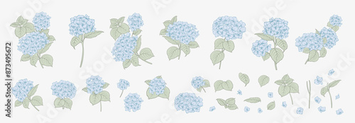 Set of differents white hydrangea on white background. Elegant line art, outline illustration.
