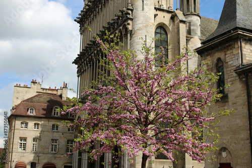 Dijon -  Église Notre Dame de Dijon photo