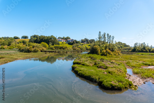 Landscape in the Jaizubia marsh in the town of Hondarribia or Fuenterrabia in Gipuzkoa. Basque Country photo