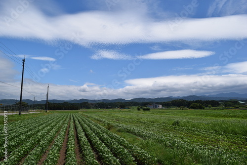 雲と空 背景素材