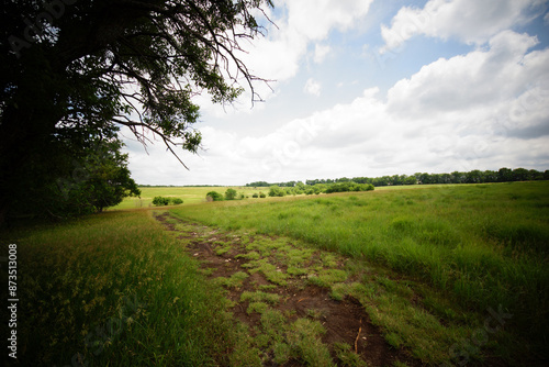 a path in the prairie in summer