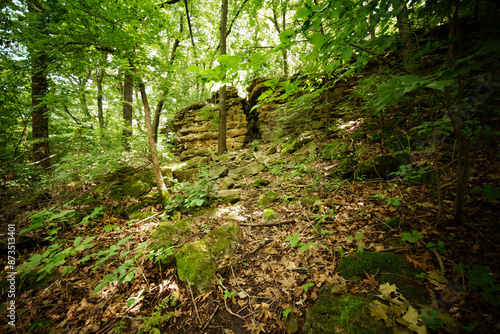 Photos a rocky ridge in the forest with deep crevasse