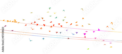 Colorful birds on wires. hand drawing. Not AI, Vector illustration