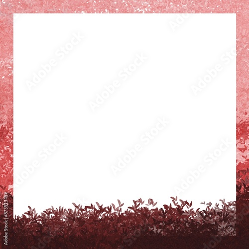 Wallpaper Mural red rose frame Torontodigital.ca