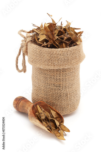 Close-up of Dry Organic Indian Rosewood (Dalbergia sissoo) or Sheesham fruits, in a jute bag and on a scoop, Isolated on a white background. photo