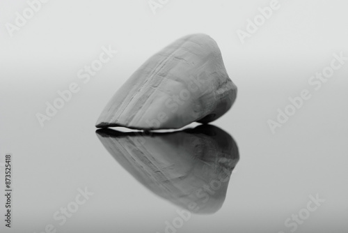 Detalised close-up photo of microstructure on raw zirkonium tooth on light grey background. photo