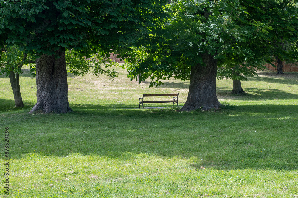 Brown benches for sitting in the city park surrounded by greenery. Benches for rest and relaxation. Brown benches for sitting in the city park surrounded by greenery. Benches for rest and relaxation.